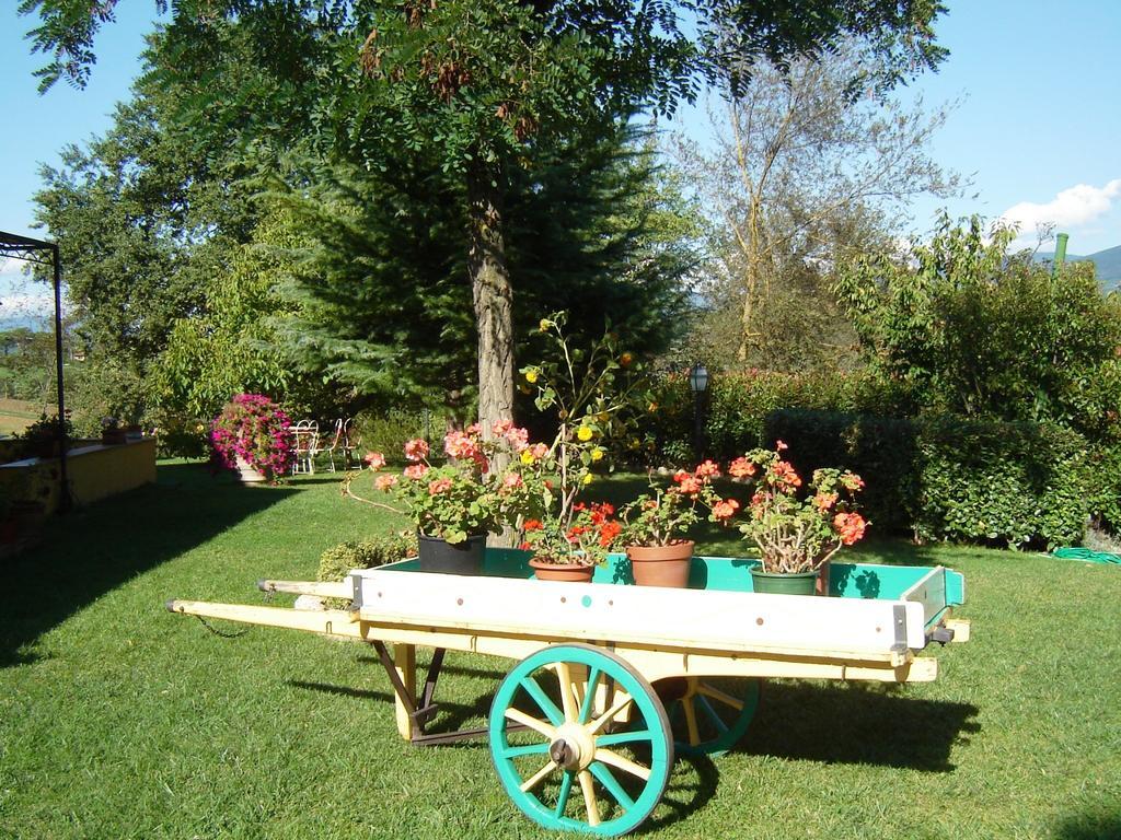 B&B Casale Ginette Incisa in Val d'Arno Bagian luar foto