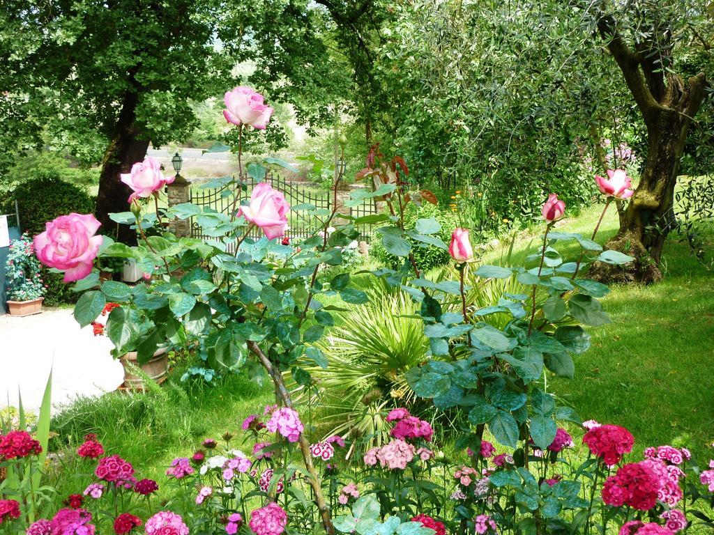 B&B Casale Ginette Incisa in Val d'Arno Bagian luar foto